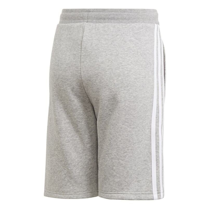 Poiste lühikesed püksid Adidas Originals Fleece Jr DV2891 Shorts, hall hind ja info | Poiste lühikesed püksid | kaup24.ee