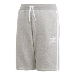Шорты для мальчиков Adidas Originals Fleece Jr DV2891 Shorts, серые цена и информация | Poiste lühikesed püksid | kaup24.ee