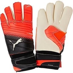 Перчатки вратарские Puma evo power grip 2.3 CG 04122320, разные цвета цена и информация | Перчатки вратаря | kaup24.ee