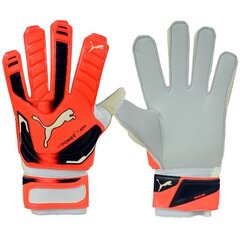 Вратарь перчатки Puma evo power grip 2 aqua 41145 30, оранжевые цена и информация | Тренировочные перчатки. Размер 5 | kaup24.ee