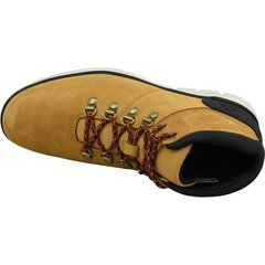 Meeste vabaajajalatsid Timberland Bradstreet Hiker M A26YZ hind ja info | Meeste kingad, saapad | kaup24.ee