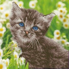 Teemantmosaiik Kitten, 30 x 30 hind ja info | Teemantmaalid, teemanttikandid | kaup24.ee