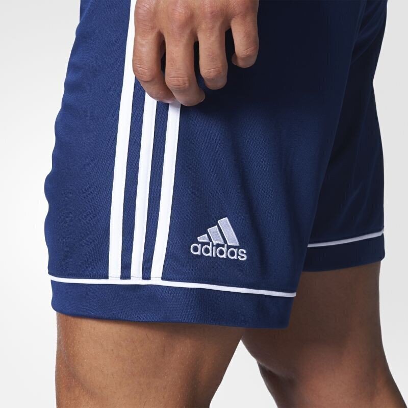 Meeste lühikesed püksid Adidas Squadra 17, sinine hind ja info | Poiste lühikesed püksid | kaup24.ee