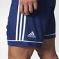 Meeste lühikesed püksid Adidas Squadra 17, sinine цена и информация | Poiste lühikesed püksid | kaup24.ee