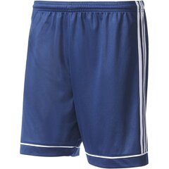 Meeste lühikesed püksid Adidas Squadra 17, sinine hind ja info | Poiste lühikesed püksid | kaup24.ee