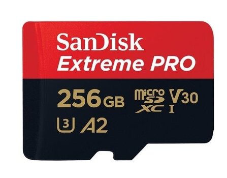 Карта памяти SanDisk SDSQXCZ-256G-GN6MA цена и информация | USB накопители | kaup24.ee