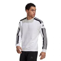 Мужская кофта Adidas Squadra 21 Sweat Top, M GT6641, белая цена и информация | Мужская спортивная одежда | kaup24.ee