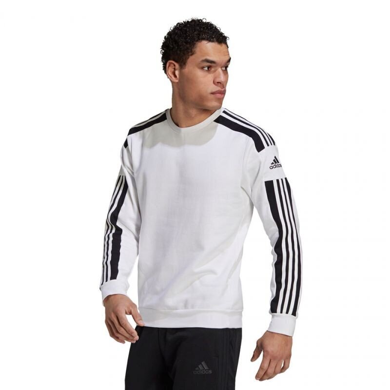 Meeste treeningsärk Adidas Squadra 21 Sweat Top, M GT6641, valge цена и информация | Meeste spordiriided | kaup24.ee