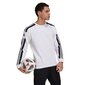 Meeste treeningsärk Adidas Squadra 21 Sweat Top, M GT6641, valge цена и информация | Meeste spordiriided | kaup24.ee