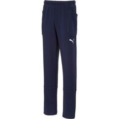 Спортивные штаны для мальчиков Puma Liga Casuals Junior 655635 06 цена и информация | Шорты для мальчиков | kaup24.ee