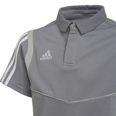 Spordisärk Adidas Tiro 19 Cotton Polo JR DW4737, 49877 цена и информация | Рубашки для мальчиков | kaup24.ee