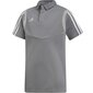 Spordisärk Adidas Tiro 19 Cotton Polo JR DW4737, 49877 hind ja info | Poiste särgid | kaup24.ee