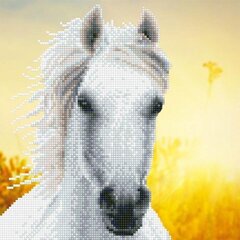 Teemantmosaiik White Horse, 30 x 30 цена и информация | Алмазная мозаика | kaup24.ee