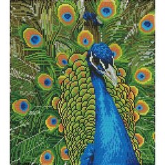 Teemantmosaiik Peacock, 37 x 50 цена и информация | Алмазная мозаика | kaup24.ee