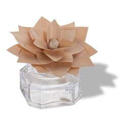Аромат для дома Durance Cotton Flower деревянный цветок, 100 мл цена и информация | Домашние ароматы с палочками | kaup24.ee