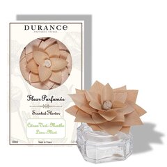 Puidune lill Durance Green Lemon Mint, 100 ml hind ja info | Kodulõhnastajad | kaup24.ee