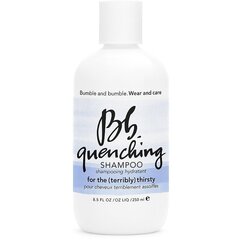 Bb Quenching taastav šampoon, 250ml цена и информация | Шампуни | kaup24.ee