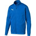 Meeste dressipluus Puma Liga Training Electric M 655687 02