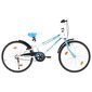 vidaXL laste jalgratas 24'', sinine ja valge цена и информация | Jalgrattad | kaup24.ee