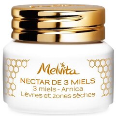 Huulepalsam Melvita Nectar de 3 Miels Arnica 8 g hind ja info | Huulepulgad, -läiked, -palsamid, vaseliin | kaup24.ee