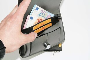 Naiste käekott hind ja info | Naiste rahakotid | kaup24.ee
