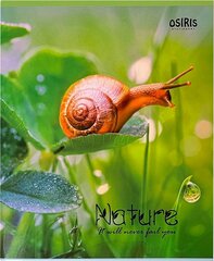 Kaustik 48 lehte ruut, NATURE цена и информация | Бумага, тетради | kaup24.ee