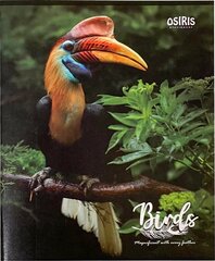 Kaustik 48 lehte, 23 joont, BIRDS цена и информация | Тетради и бумажные товары | kaup24.ee