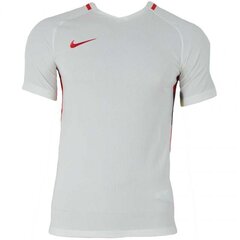 Meeste Spordi T-särk Nike Dry Revolution IV JSY SS M 833017- 102 hind ja info | Meeste spordiriided | kaup24.ee