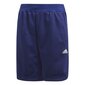 Adidas YB Knit Short Junior CV9145 Poiste lühikesed püksid цена и информация | Poiste lühikesed püksid | kaup24.ee