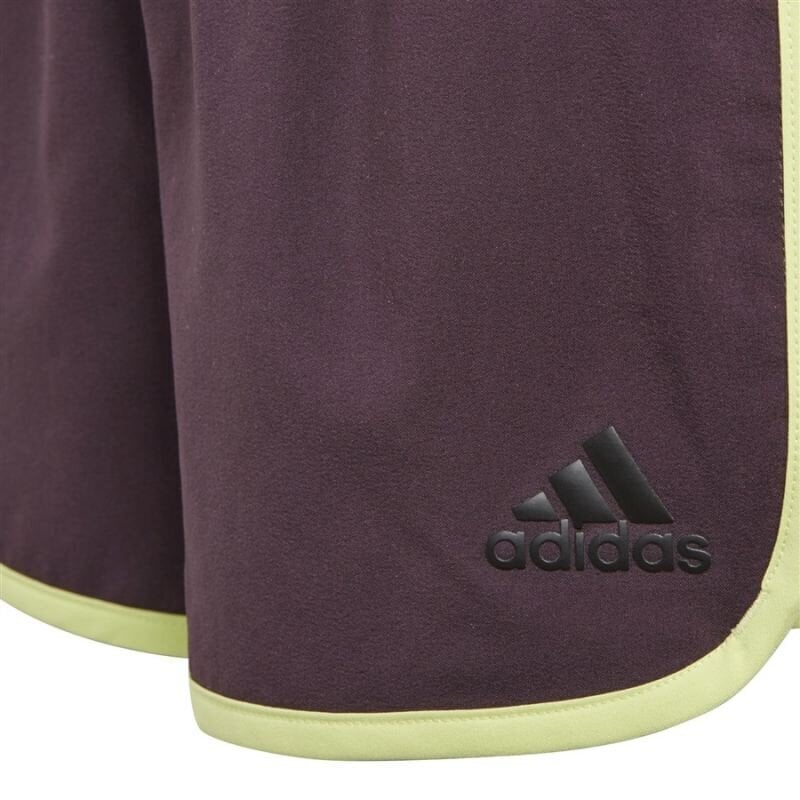 Adidas Marathon Junior CF7184 lühikesed püksid lastele hind ja info | Poiste lühikesed püksid | kaup24.ee