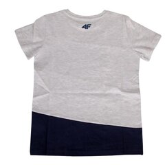 Спортивная футболка для мальчиков, 4F Jr HJL20-JTSM010 25M цена и информация | Рубашки для мальчиков | kaup24.ee