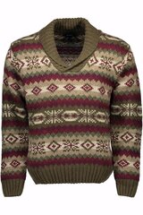 Мужской свитер Gant, хаки цена и информация | Мужские свитера | kaup24.ee
