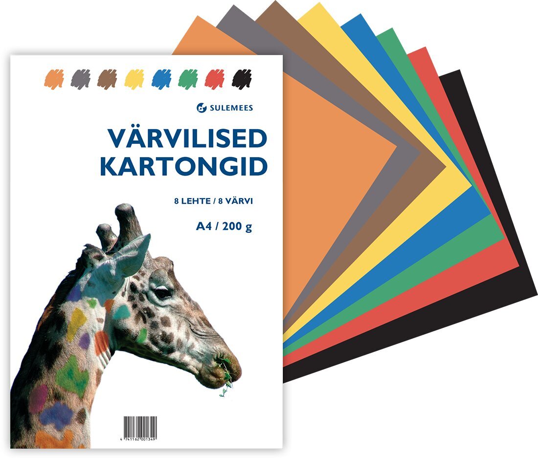 Värvilised kartongid A4 200gr, 8 lehte, 8 värvi hind ja info | Vihikud, märkmikud ja paberikaubad | kaup24.ee