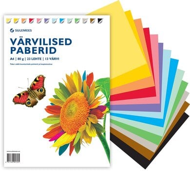 Värvilised paberid A4 80 g, 23 lehte, 13 värvi hind ja info | Vihikud, märkmikud ja paberikaubad | kaup24.ee