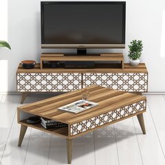 Комплект мебели для гостиной Kalune Design 845(XVII), коричневый цена и информация | Секция КАЛАБРИНИ I, белая | kaup24.ee