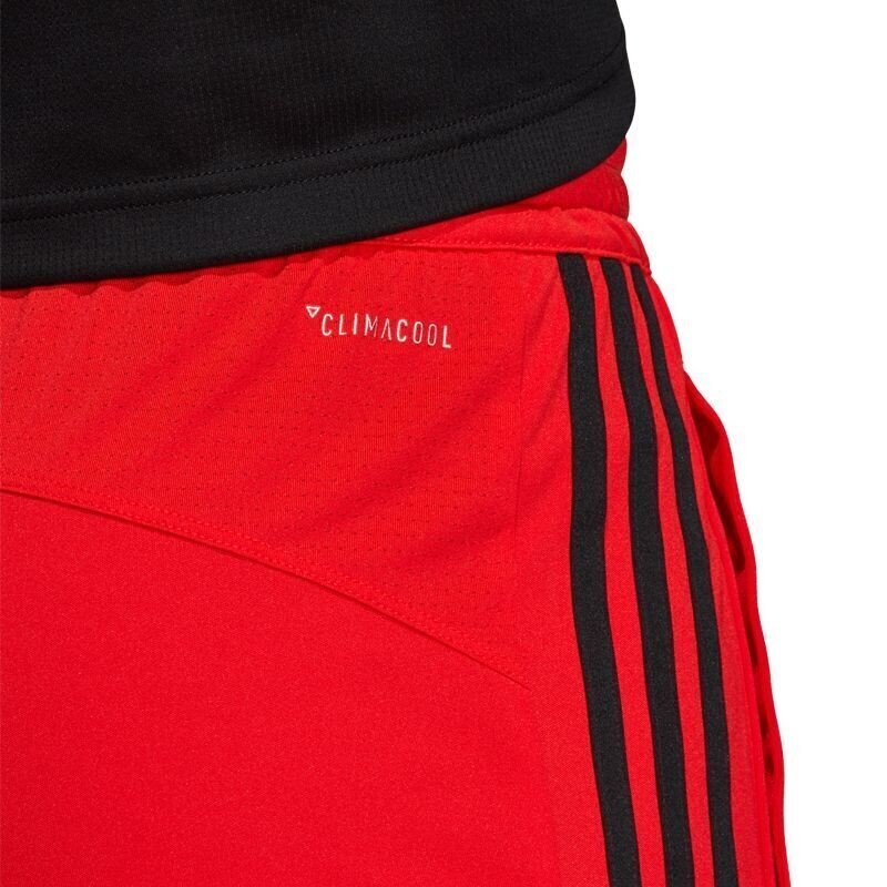 Meeste lühikesed spordipüksid Adidas D2M Cool 3S hind ja info | Meeste spordiriided | kaup24.ee