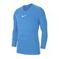 Poiste spordisärk Nike Dry Park JR AV2611 412 thermal, sinine цена и информация | Poiste särgid | kaup24.ee