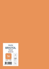 Kartong Bristol A4/200gr, oranž (56), 20 lehte pakis hind ja info | Vihikud, märkmikud ja paberikaubad | kaup24.ee