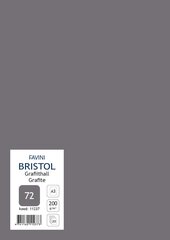 Kartong Bristol A3/200gr, grafiithall (72), 20 lehte pakis hind ja info | Vihikud, märkmikud ja paberikaubad | kaup24.ee