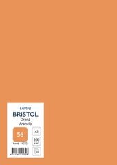 Kartong Bristol A3/200gr, oranž (56), 20 lehte pakis hind ja info | Vihikud, märkmikud ja paberikaubad | kaup24.ee