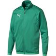 Meeste dressipluus Puma Liga Training Electric M 655687 05