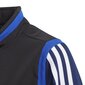 Poiste dressipluus Adidas Tiro 19 Pre Jkt Junior, sinine hind ja info | Poiste kampsunid, vestid ja jakid | kaup24.ee