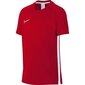 Nike B Dry Academy SS Junior AO0739- 657 (46441) t-särk lastele цена и информация | Poiste särgid | kaup24.ee