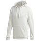 Meeste džemper Adidas Brilliant Basics Hooded M GD3833 hind ja info | Meeste pusad | kaup24.ee