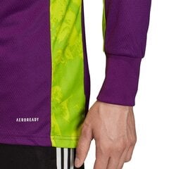 Poiste pluus, Adidas AdiPro 20 GK Jr FI4198 цена и информация | Свитеры, жилетки, пиджаки для мальчиков | kaup24.ee