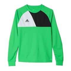 Poiste dressipluus Adidas Assita 17 Jr A-5406, roheline цена и информация | Свитеры, жилетки, пиджаки для мальчиков | kaup24.ee