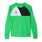 Poiste dressipluus Adidas Assita 17 Jr A-5406, roheline цена и информация | Poiste kampsunid, vestid ja jakid | kaup24.ee