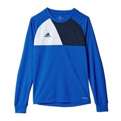 Poiste dressipluus Adidas Assita 17 Jr AZ5404, sinine hind ja info | Poiste kampsunid, vestid ja jakid | kaup24.ee