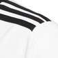 T-särk poistele Adidas Entrada 18 Jr CF1044, valge цена и информация | Poiste särgid | kaup24.ee