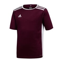 Футболка для мальчиков Adidas Entrada 18 Jr CE9564, красная цена и информация | Рубашки для мальчиков | kaup24.ee